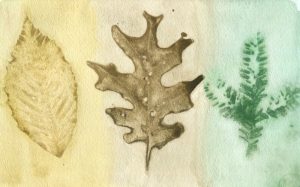 Leaf Trio artwork by Lisa Tessier