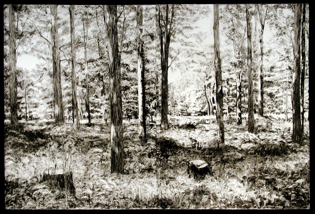 My-Woods-July-lithograph